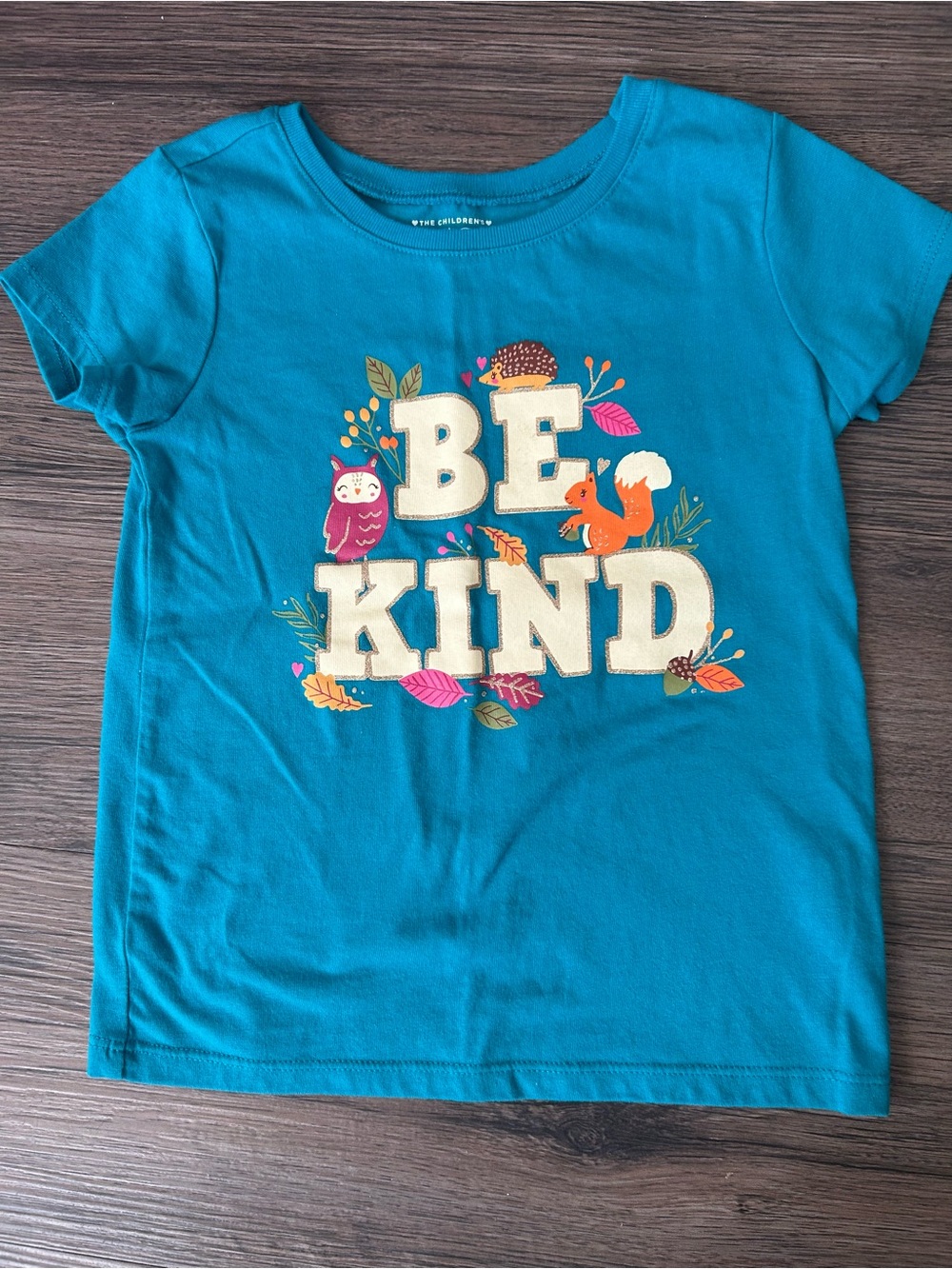 3/$12 Children’s Place Fall Be Kind Graphic Tee Girls Size 4T